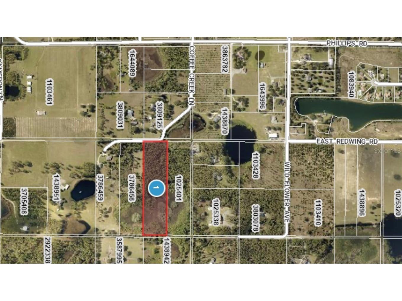 00 Coffee Creek Lane Groveland FL 34736 OM705608 image2