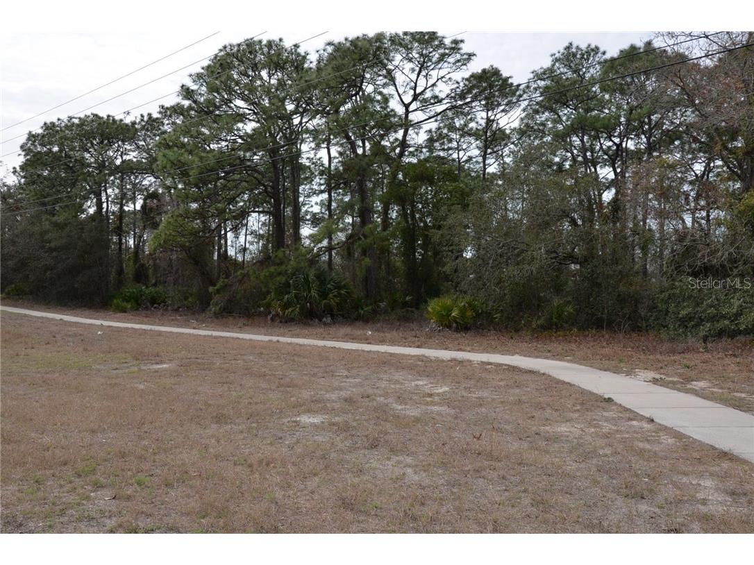 00 Commercial Way Weeki Wachee FL 34613 W7637668 image5