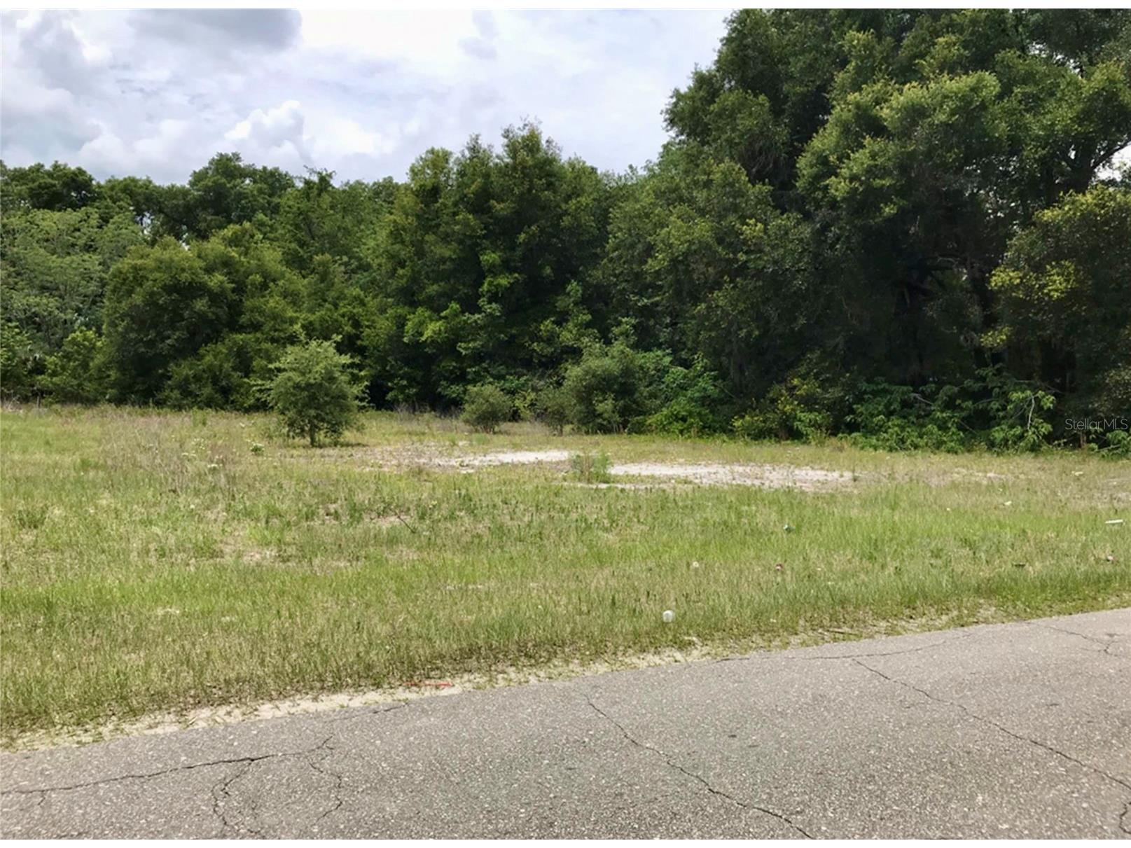 00 County Road 213 Wildwood FL 34785 W7885154 image12
