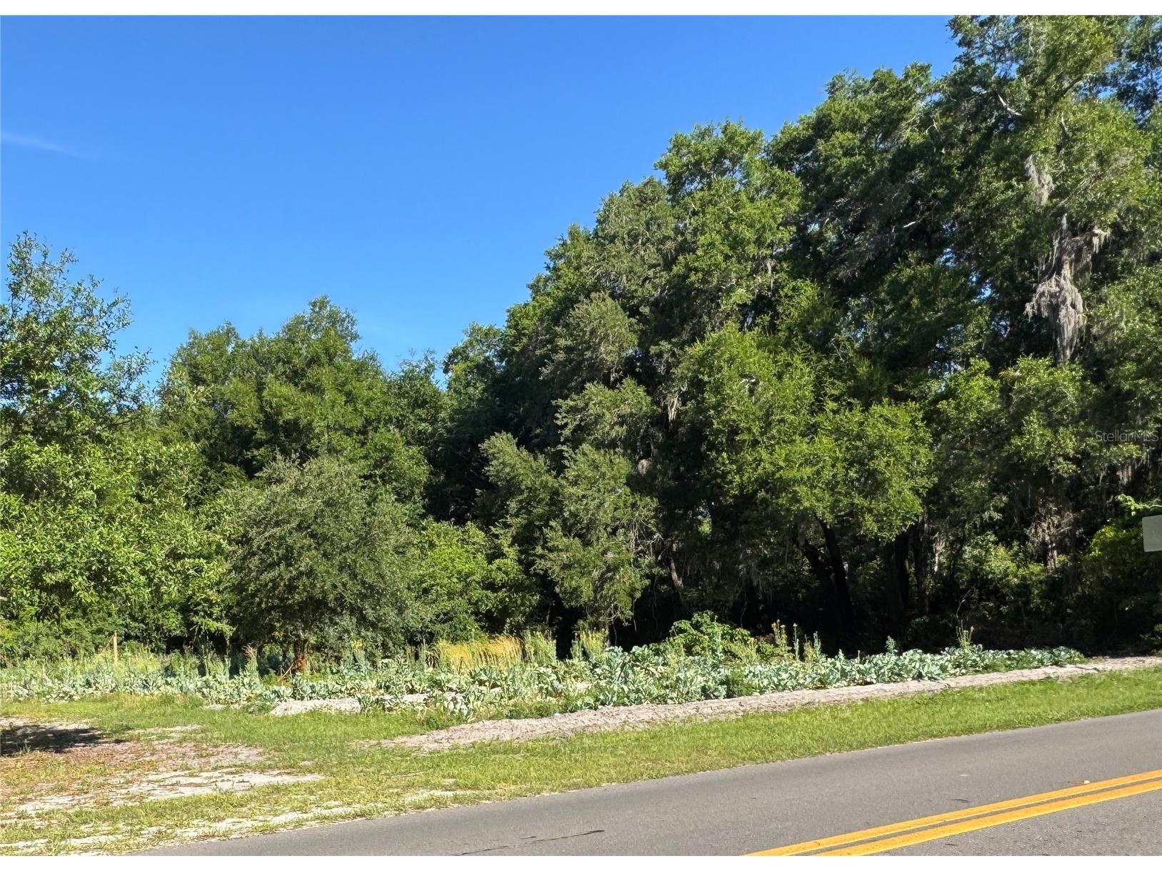 00 County Road 213 Wildwood FL 34785 W7885154 image5