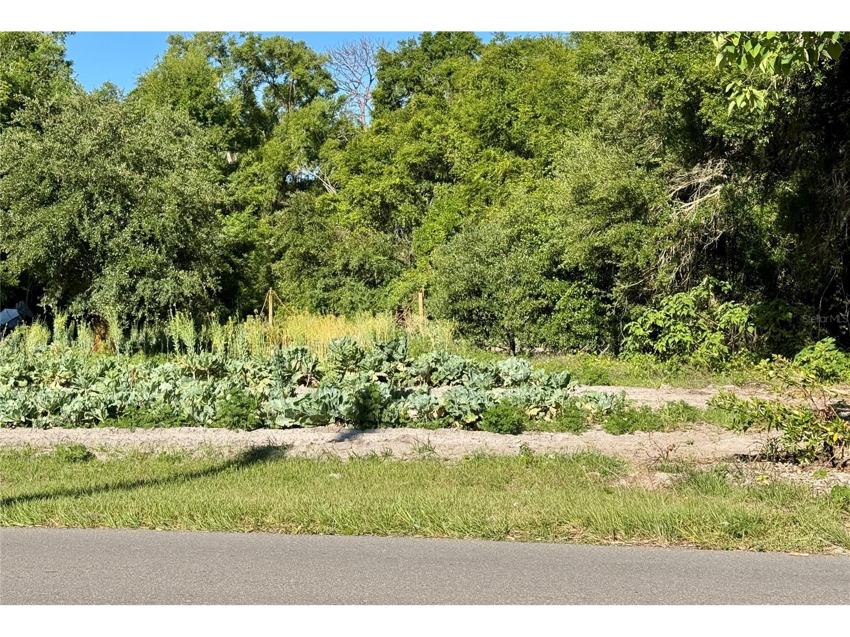 00 County Road 213 Wildwood FL 34785 W7885154 image8