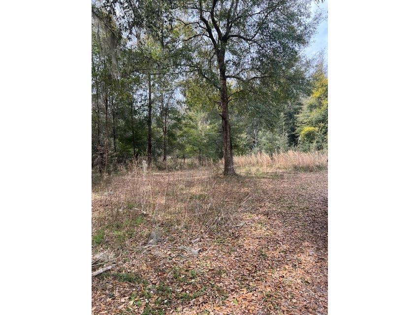 00 County Road Nw 26th High Springs FL 32643 GC519900 image1
