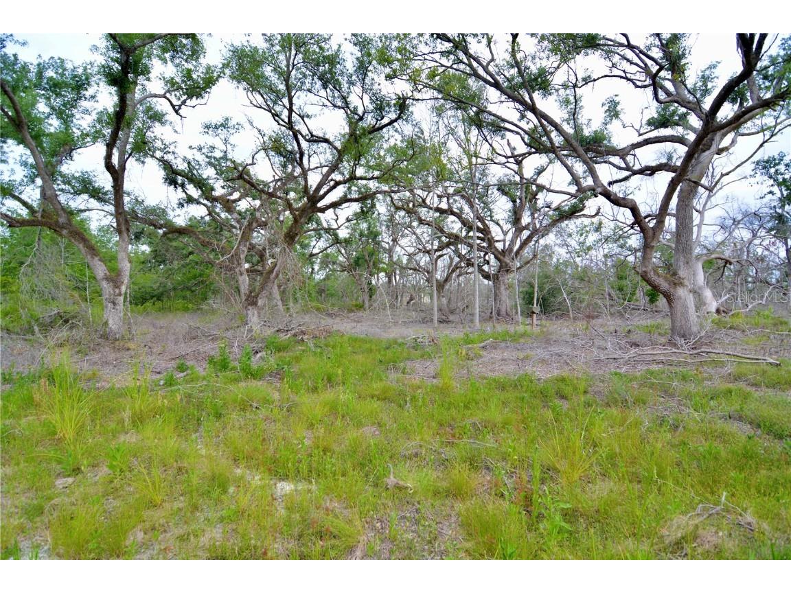 00 Cr-53 Lee FL 32059 OM701317 image10