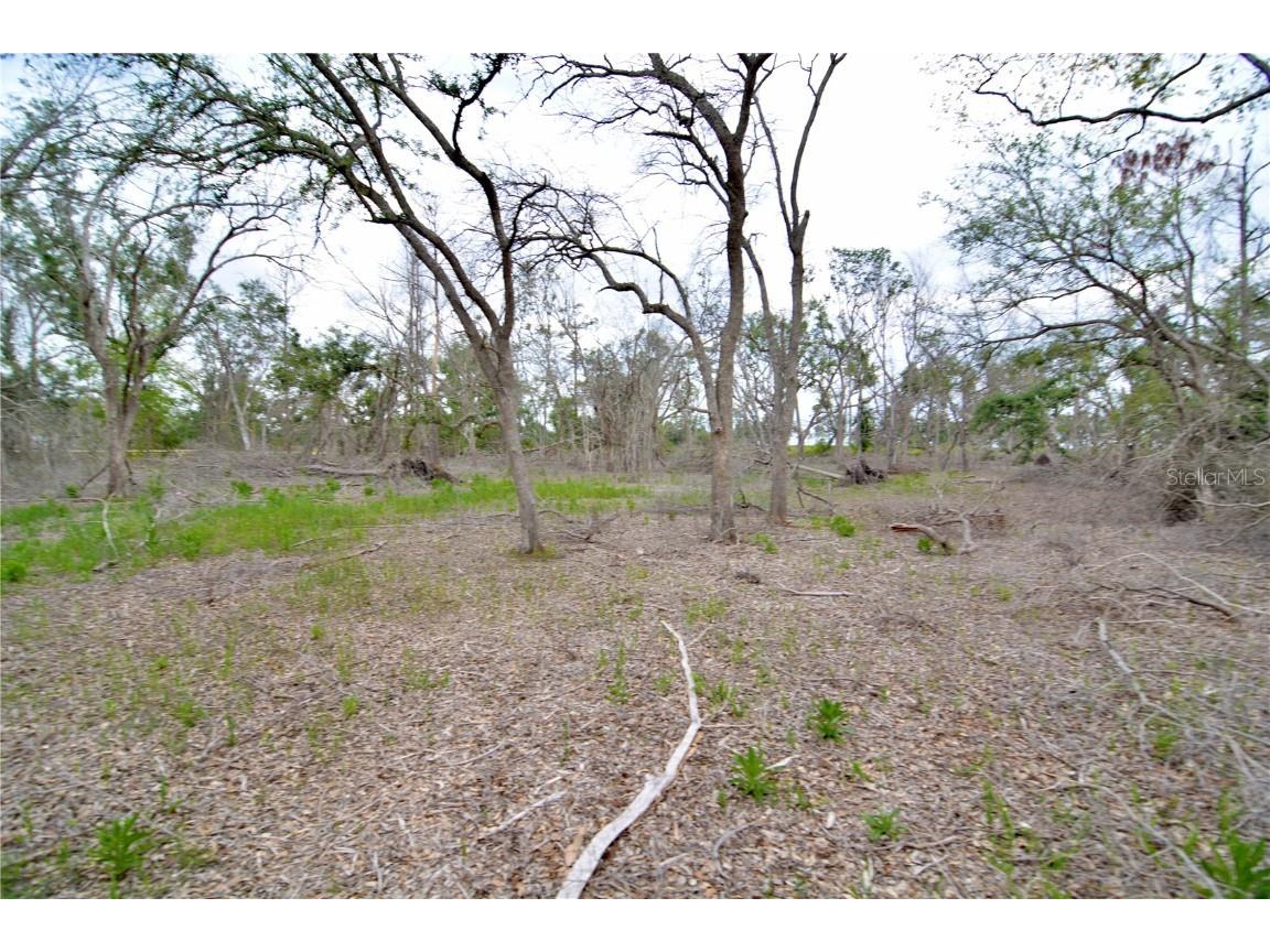 00 Cr-53 Lee FL 32059 OM701317 image11