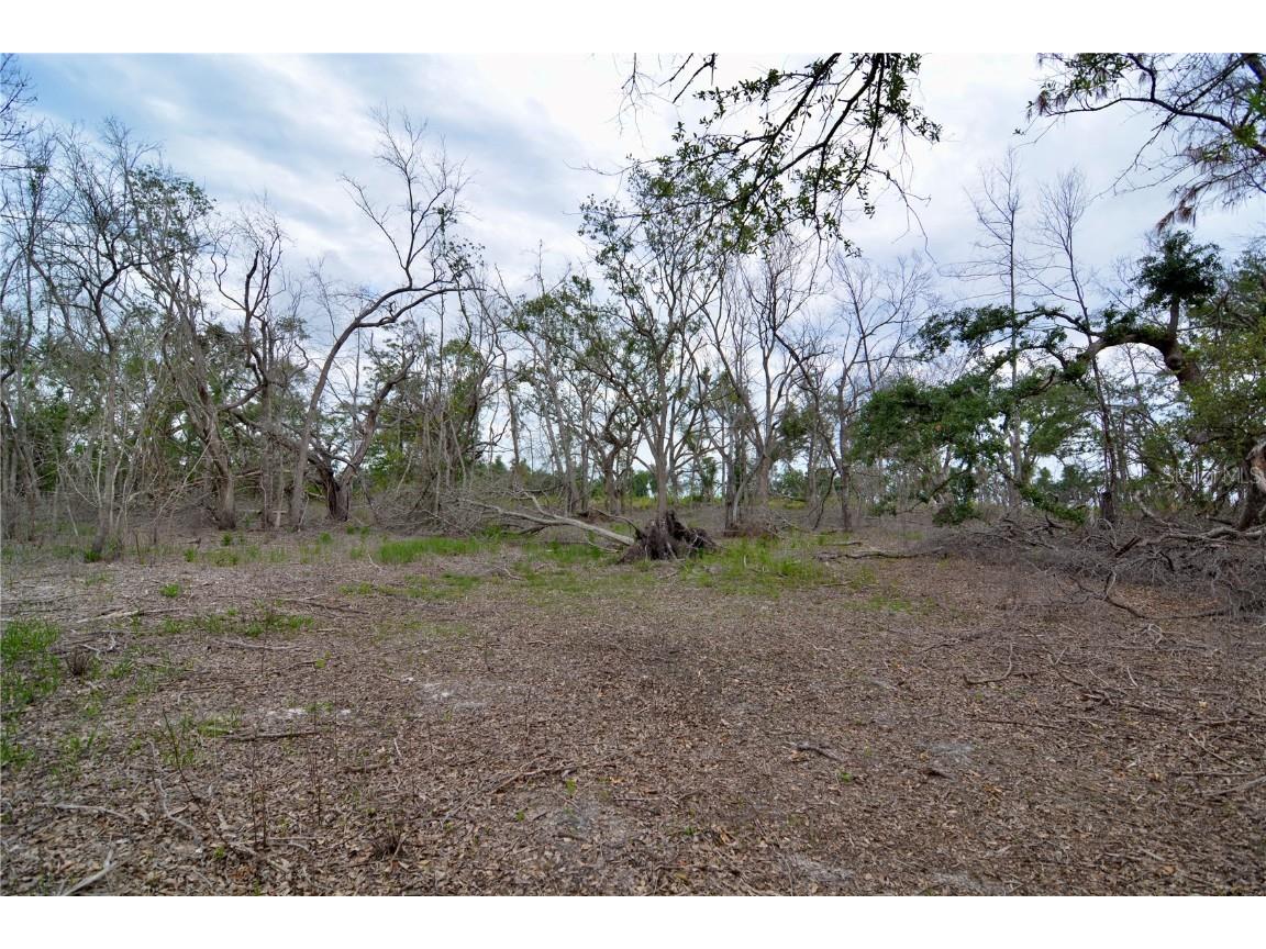 00 Cr-53 Lee FL 32059 OM701317 image12