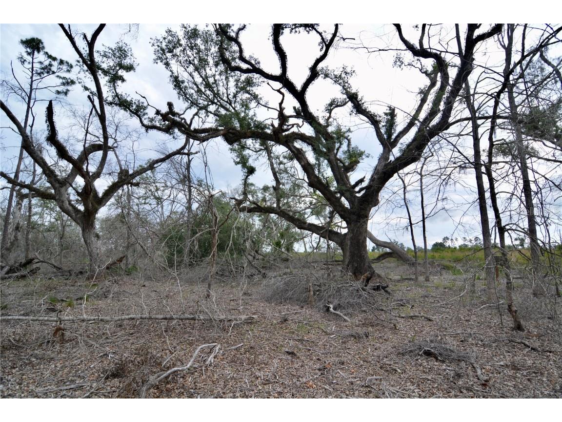 00 Cr-53 Lee FL 32059 OM701317 image13