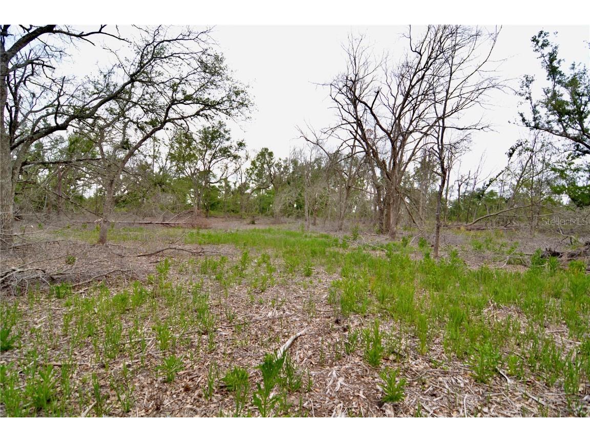 00 Cr-53 Lee FL 32059 OM701317 image14