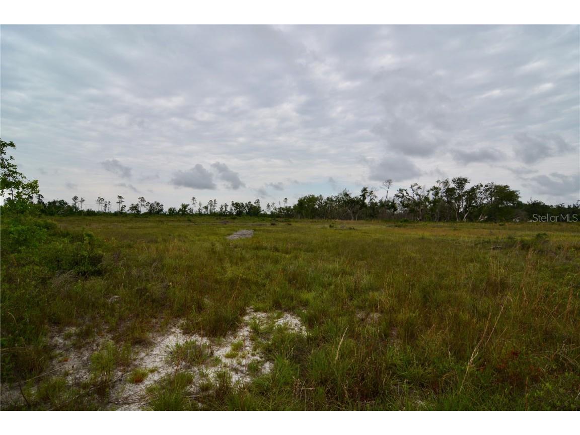 00 Cr-53 Lee FL 32059 OM701317 image15