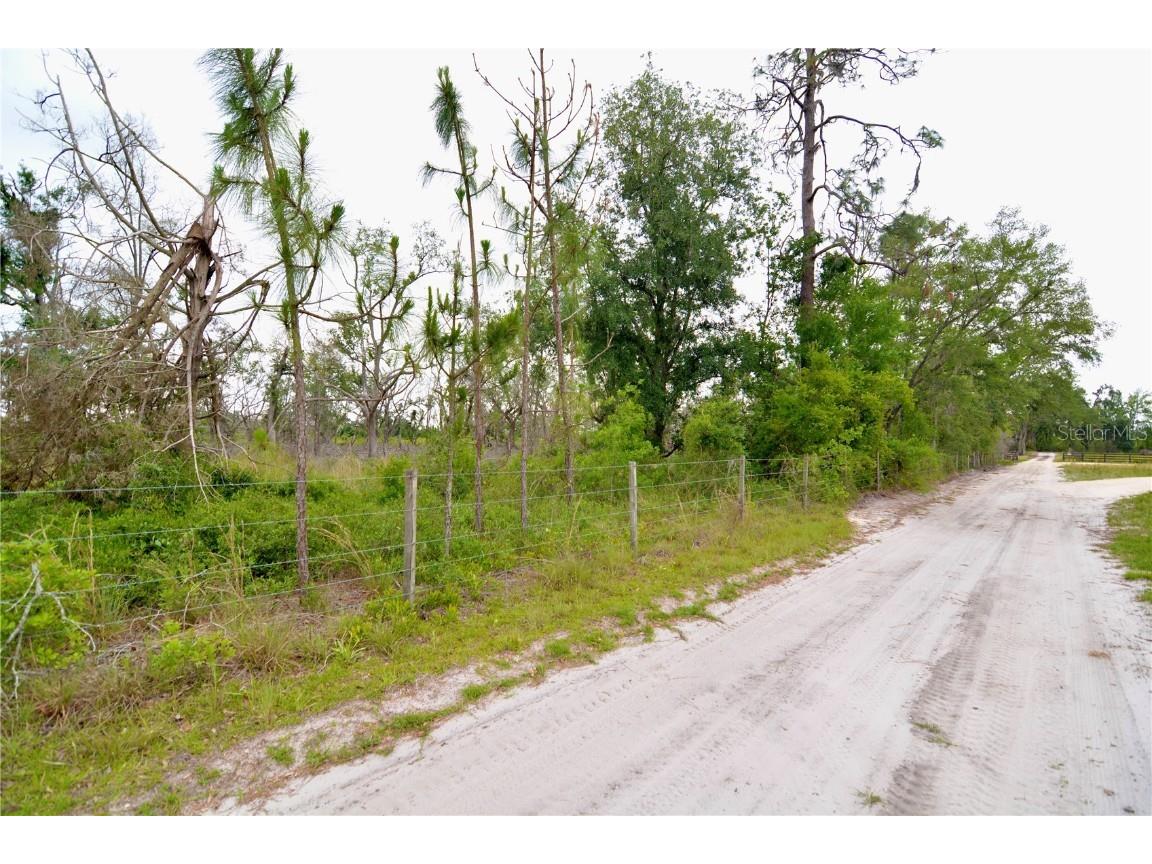 00 Cr-53 Lee FL 32059 OM701317 image17