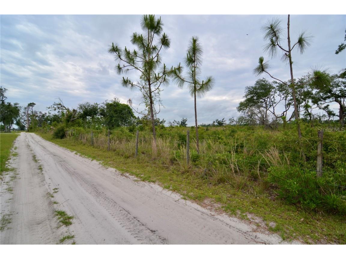 00 Cr-53 Lee FL 32059 OM701317 image18