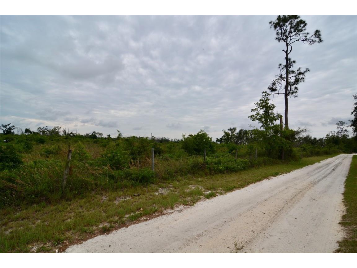 00 Cr-53 Lee FL 32059 OM701317 image19