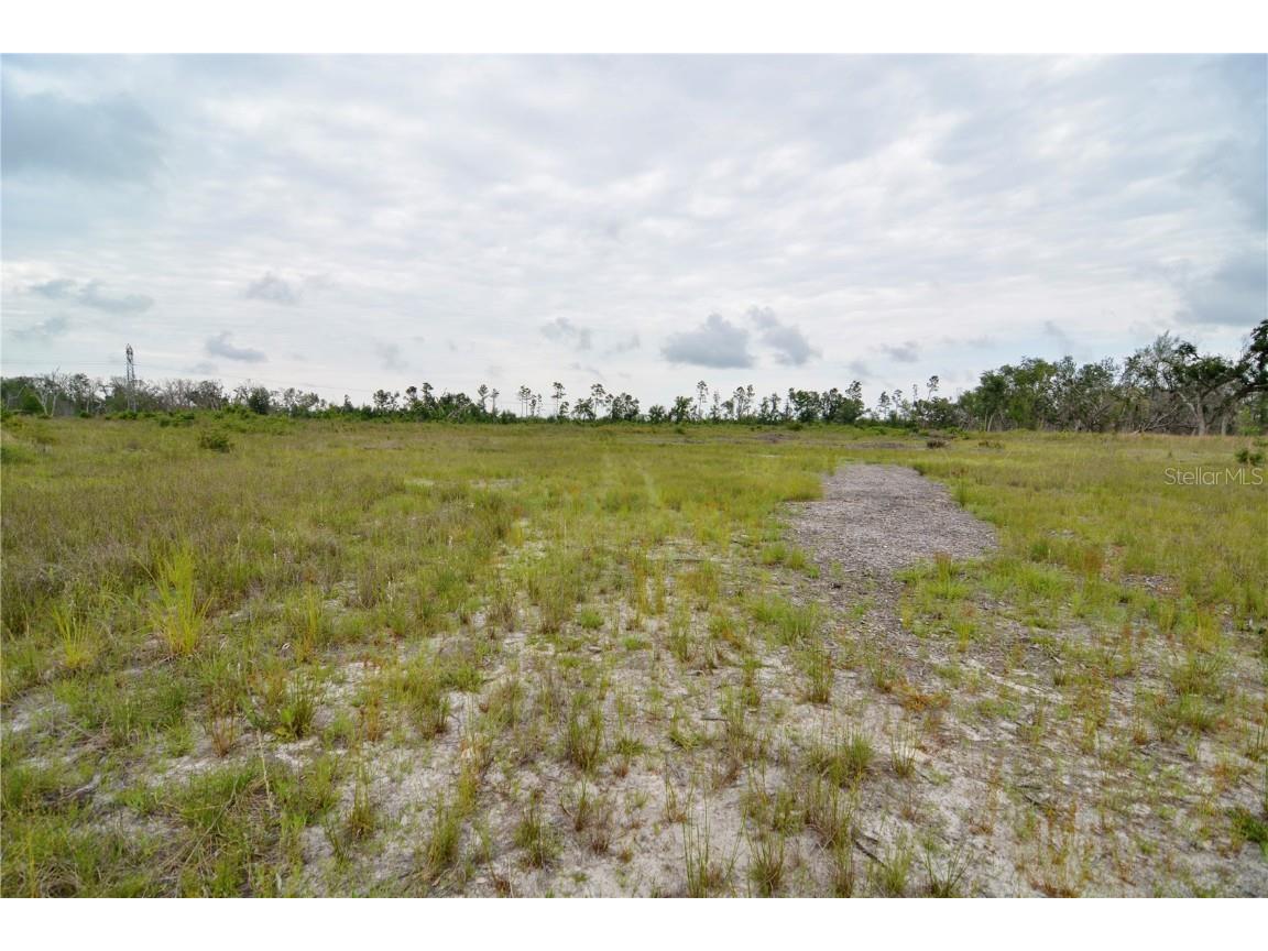 00 Cr-53 Lee FL 32059 OM701317 image2