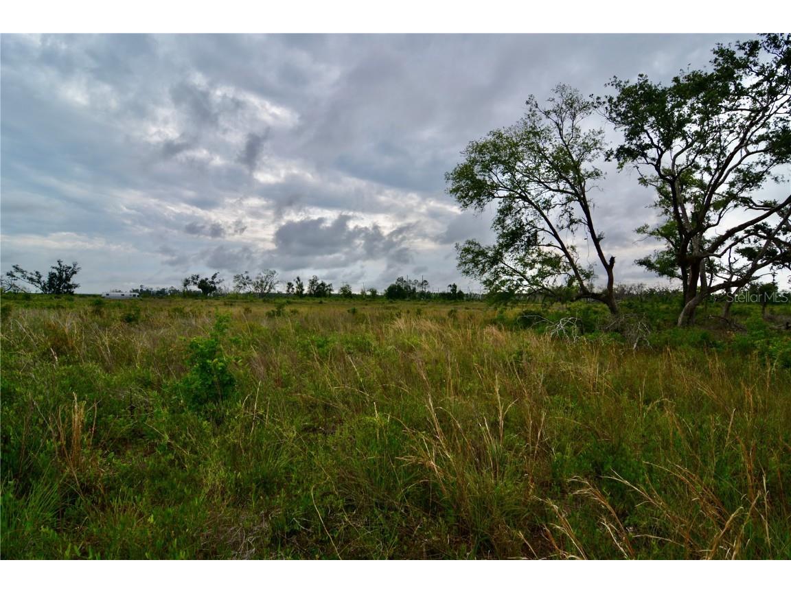 00 Cr-53 Lee FL 32059 OM701317 image20