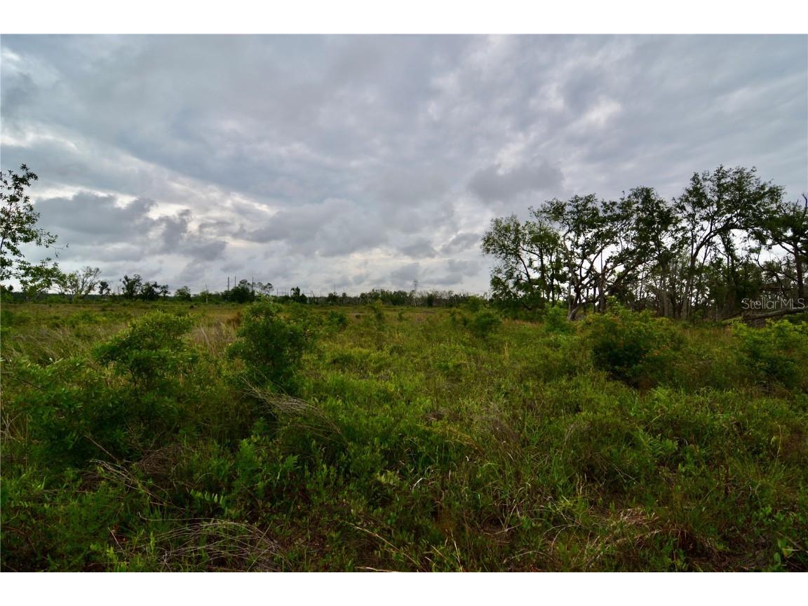 00 Cr-53 Lee FL 32059 OM701317 image21