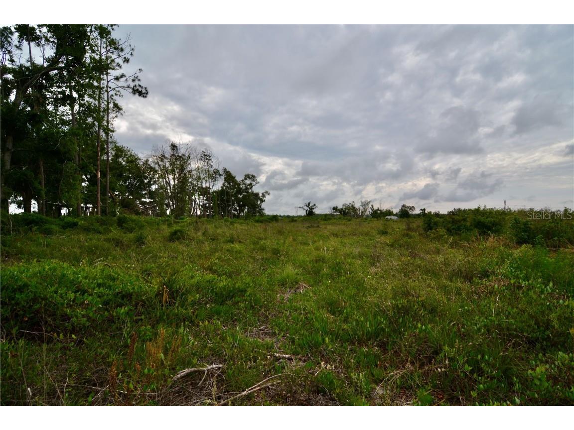 00 Cr-53 Lee FL 32059 OM701317 image22