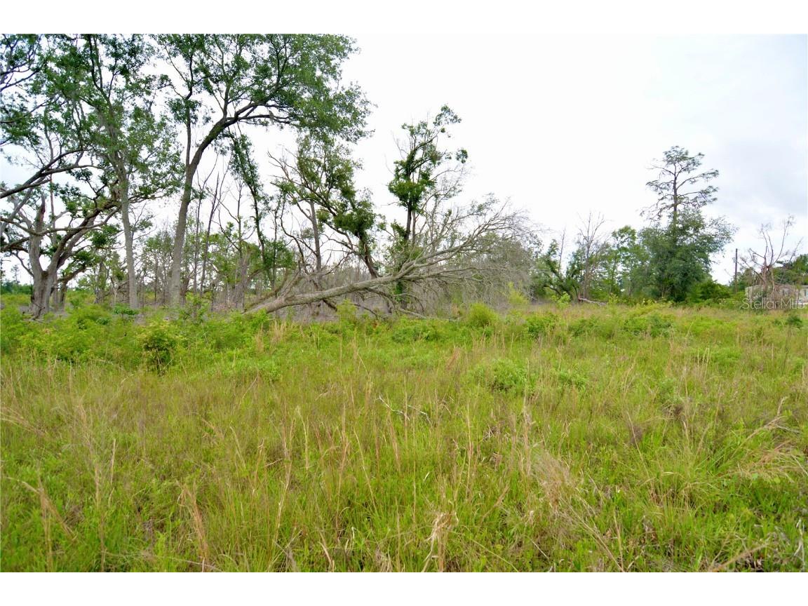 00 Cr-53 Lee FL 32059 OM701317 image27