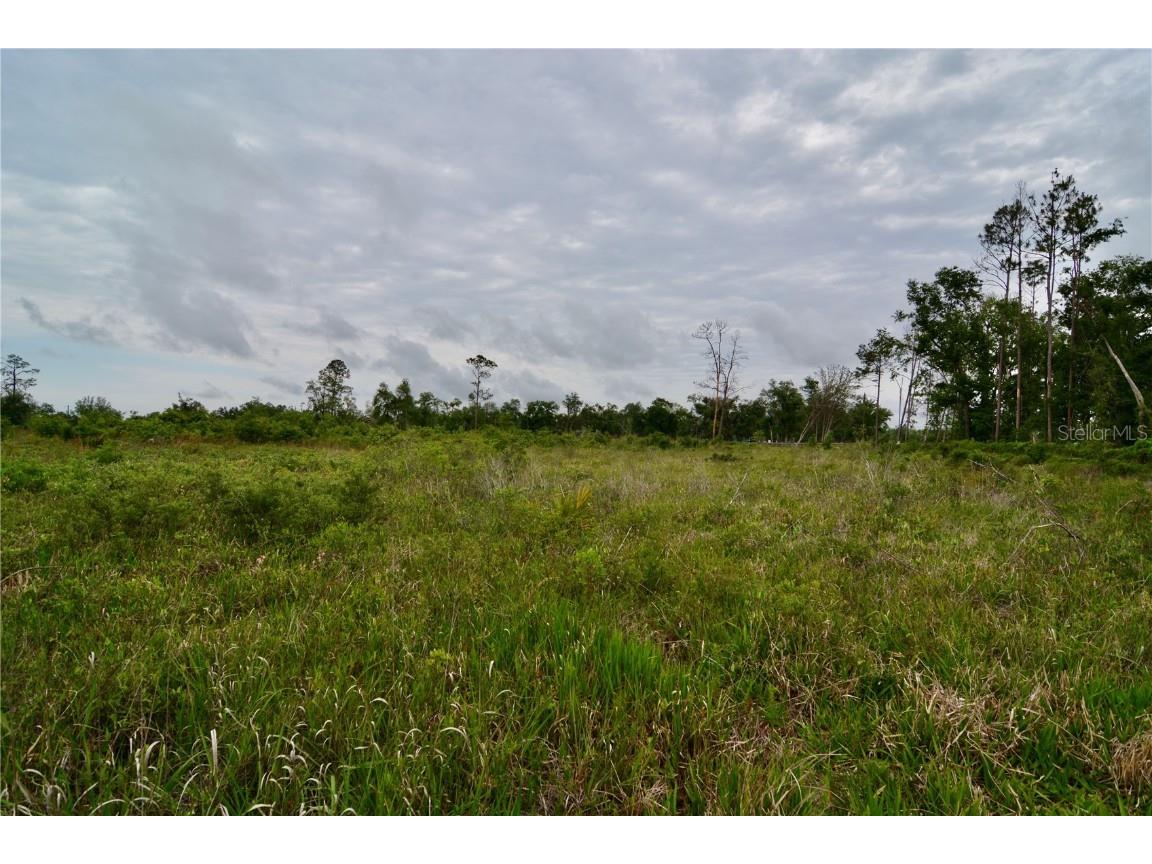 00 Cr-53 Lee FL 32059 OM701317 image28