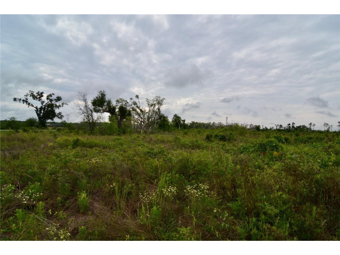 00 Cr-53 Lee FL 32059 OM701317 image29