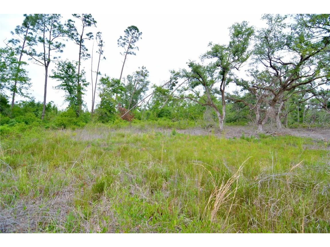 00 Cr-53 Lee FL 32059 OM701317 image31