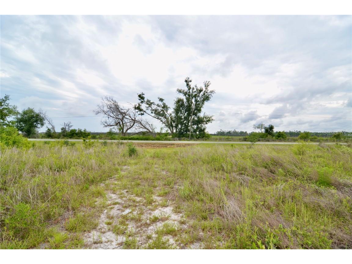 00 Cr-53 Lee FL 32059 OM701317 image5