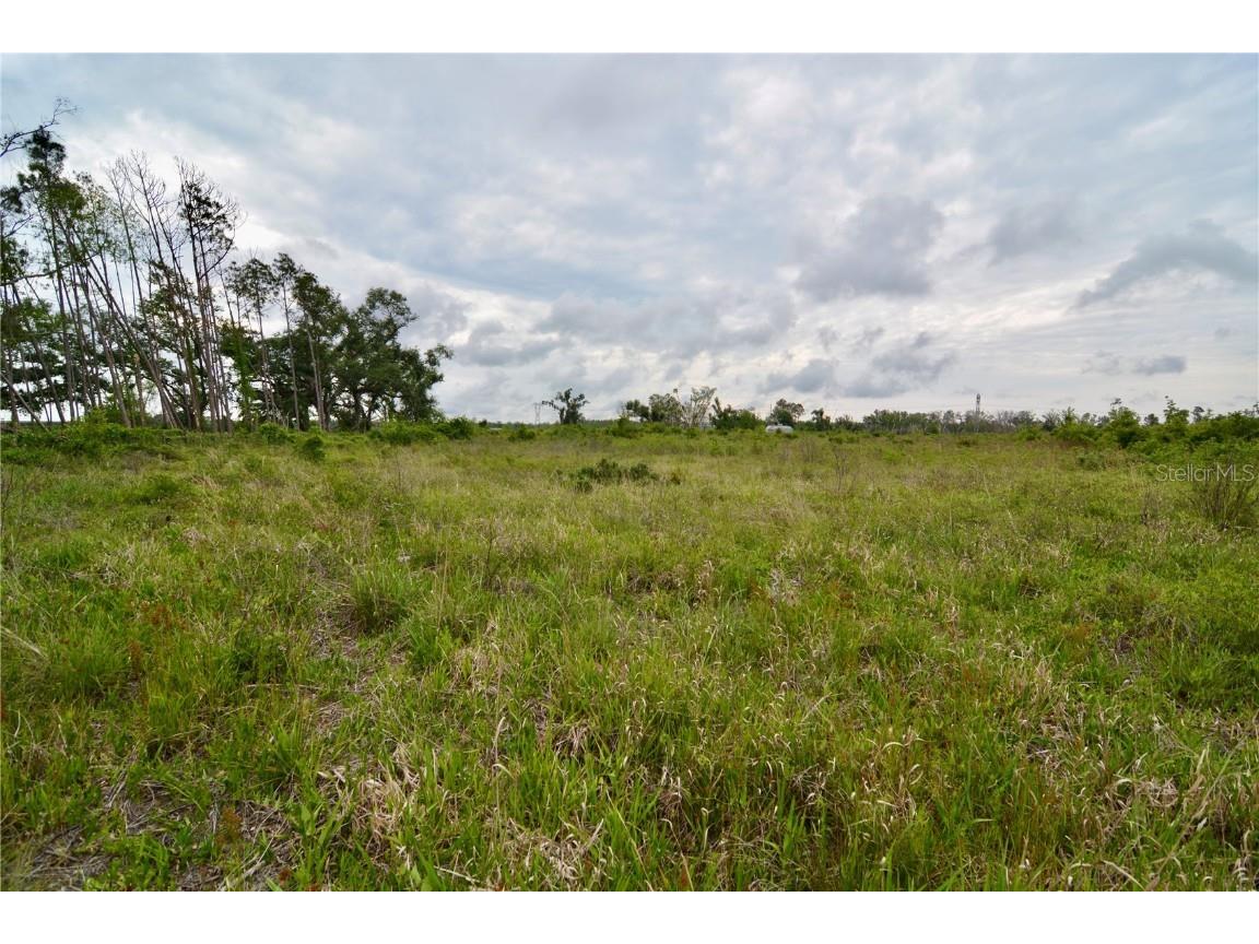 00 Cr-53 Lee FL 32059 OM701317 image6