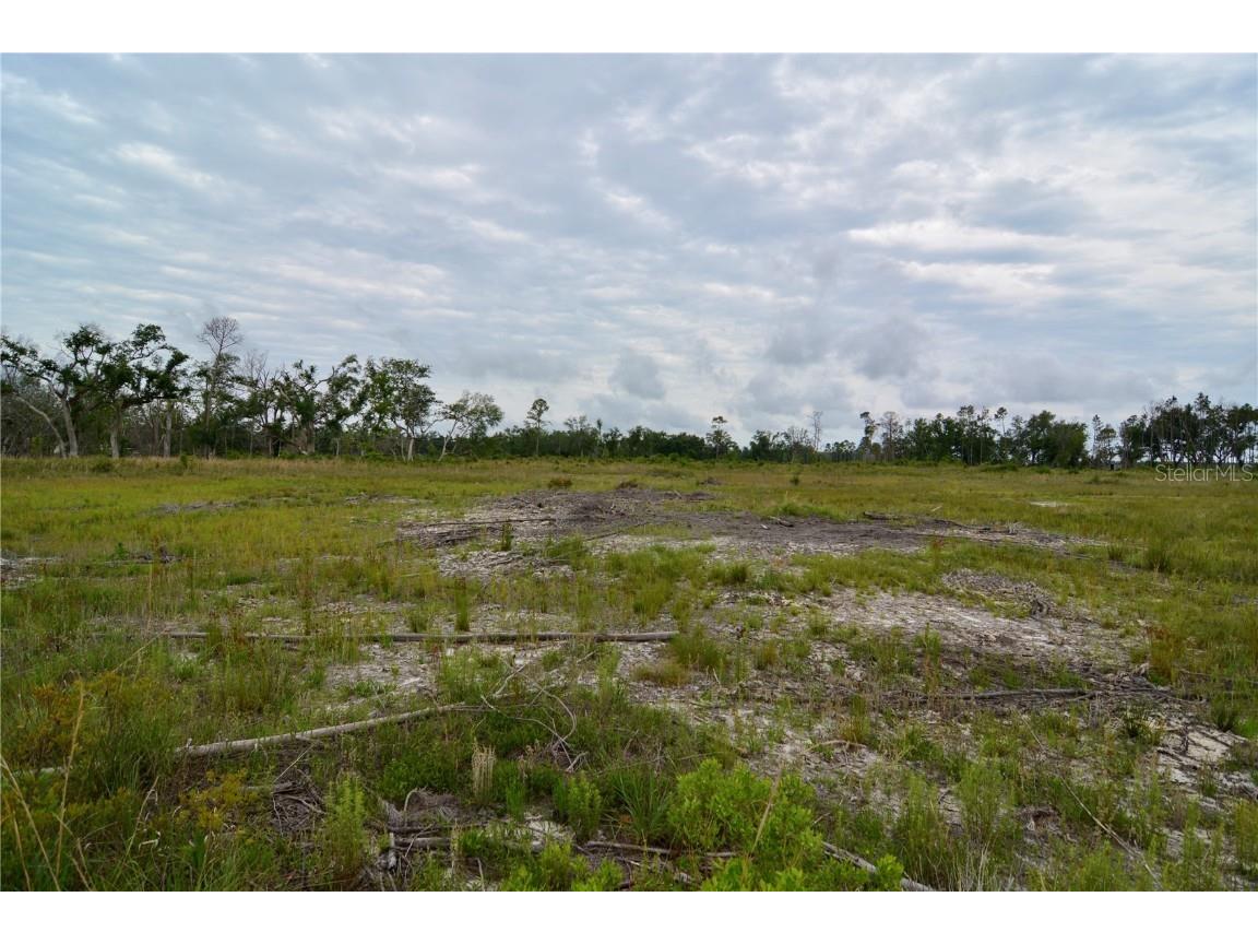 00 Cr-53 Lee FL 32059 OM701317 image7