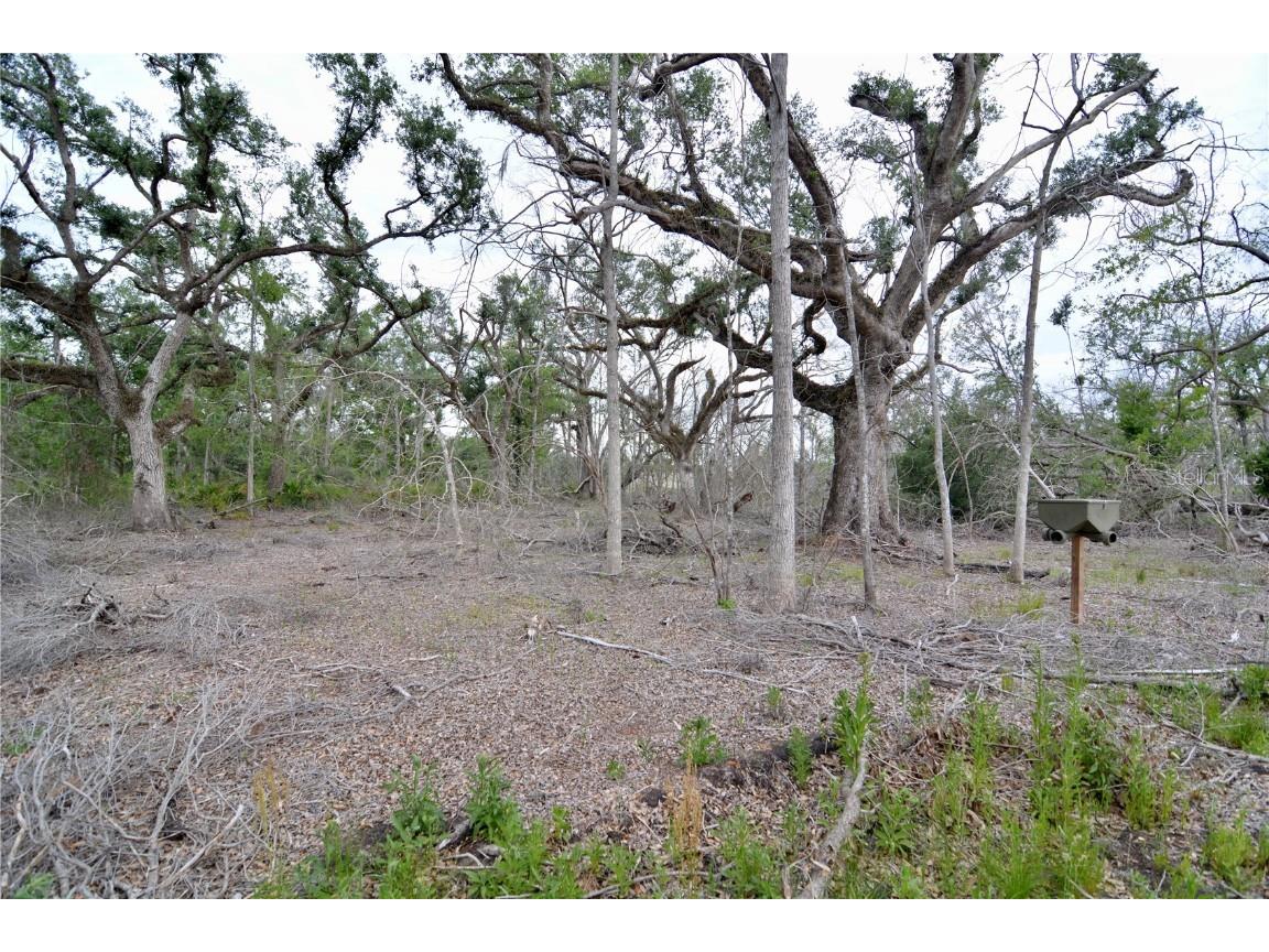 00 Cr-53 Lee FL 32059 OM701317 image8