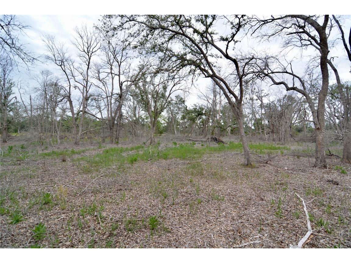 00 Cr-53 Lee FL 32059 OM701317 image9