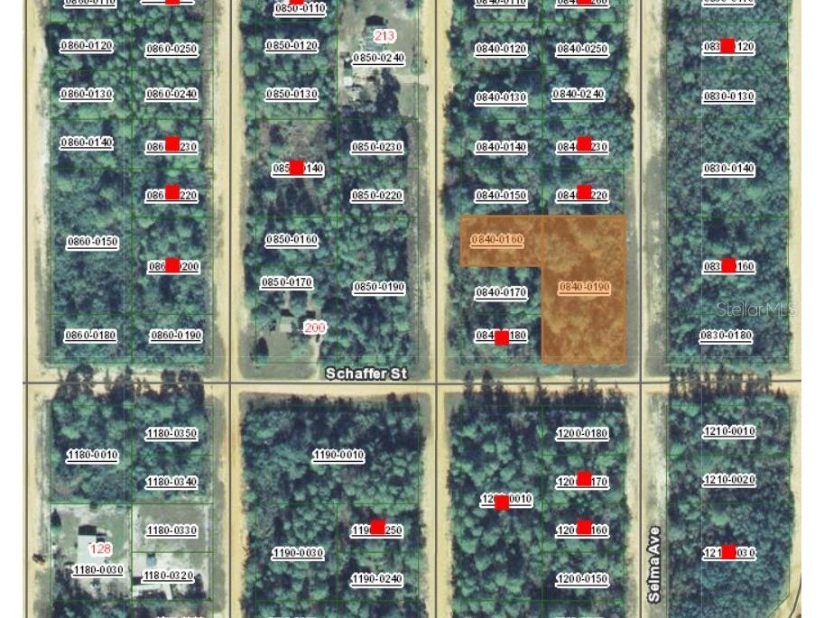 00 Creager Avenue Interlachen FL 32148 FC314553 image2