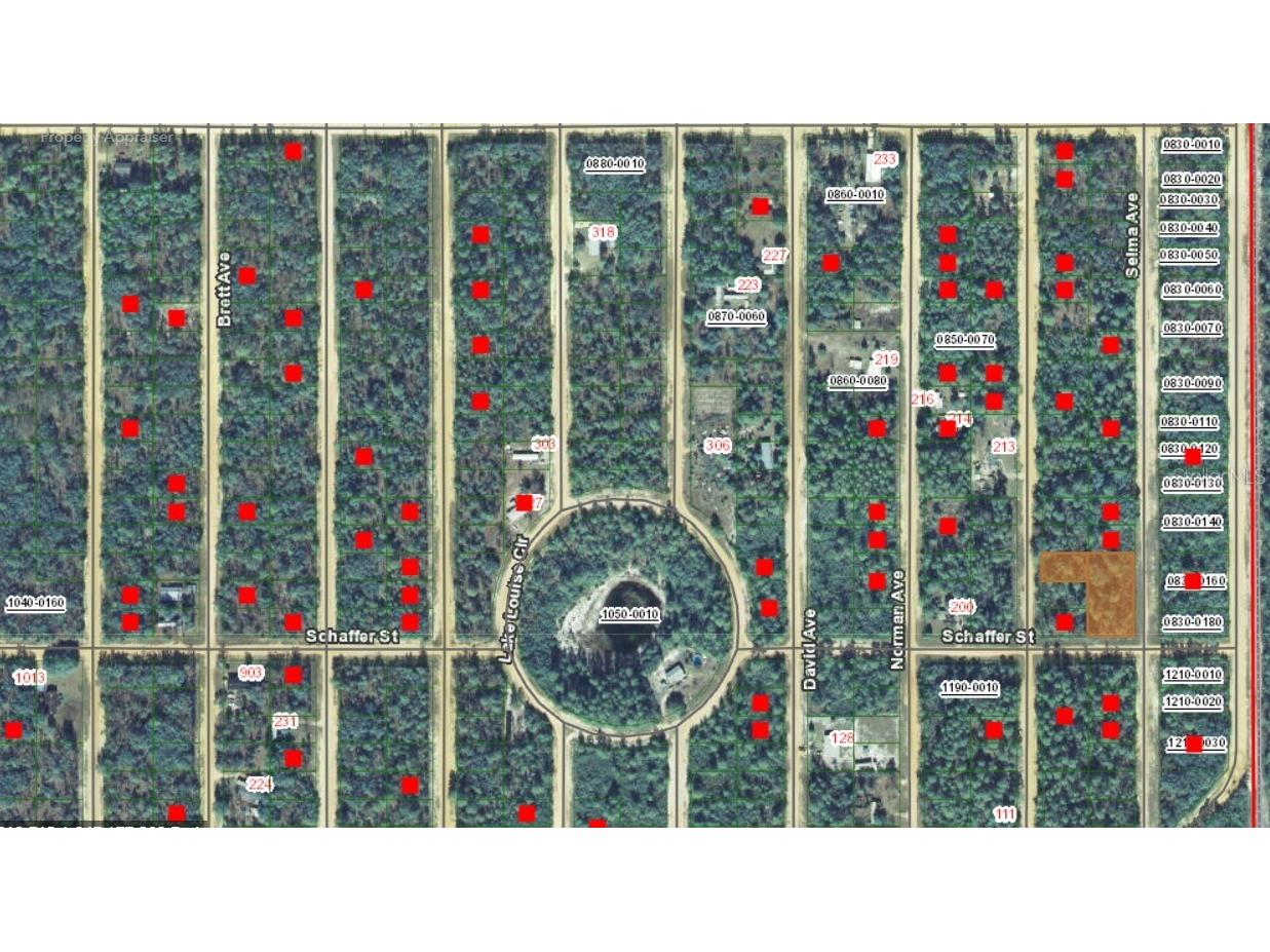 00 Creager Avenue Interlachen FL 32148 FC314553 image4