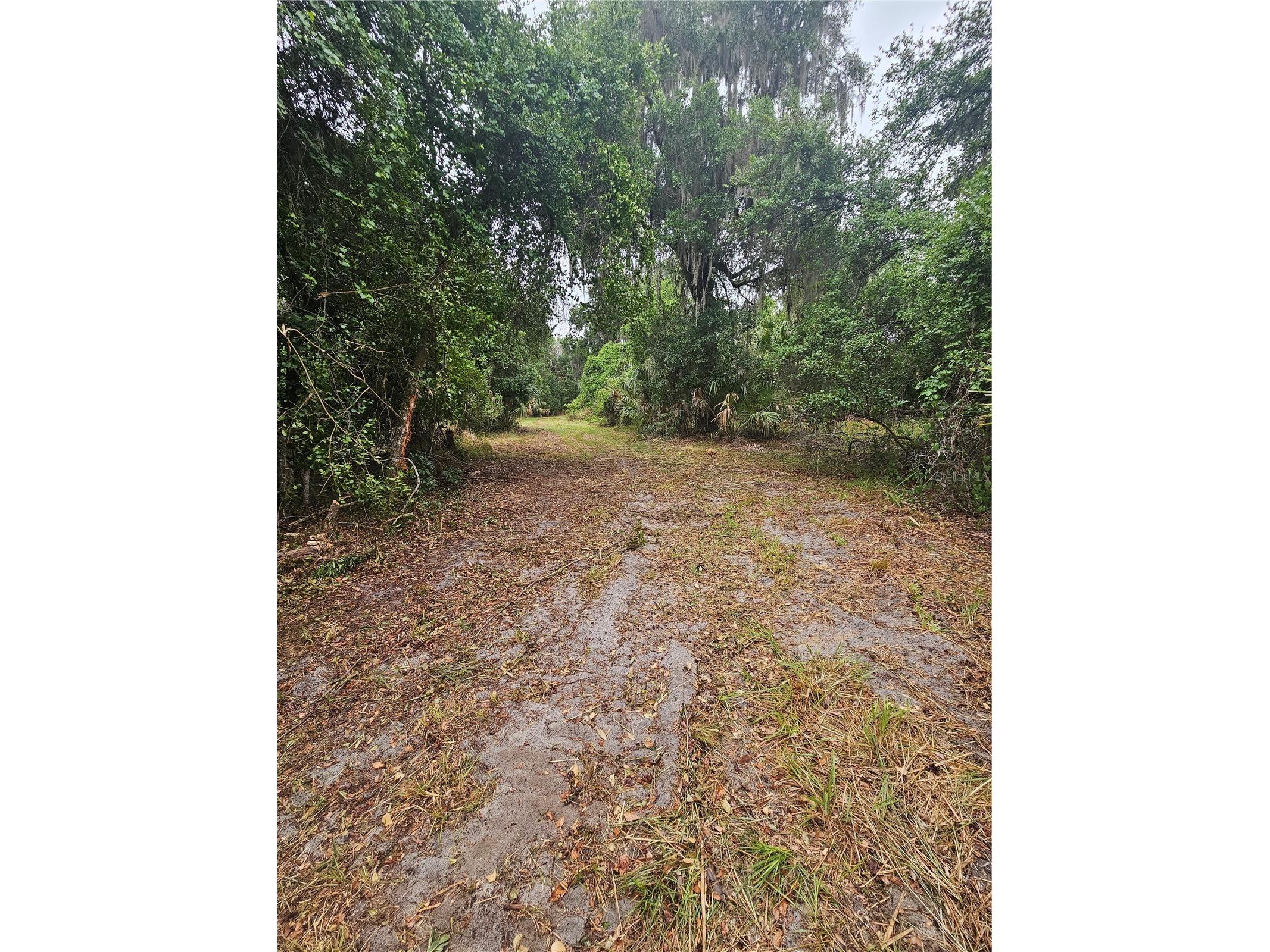00 Culver Way Geneva FL 32732 O6404343 image7