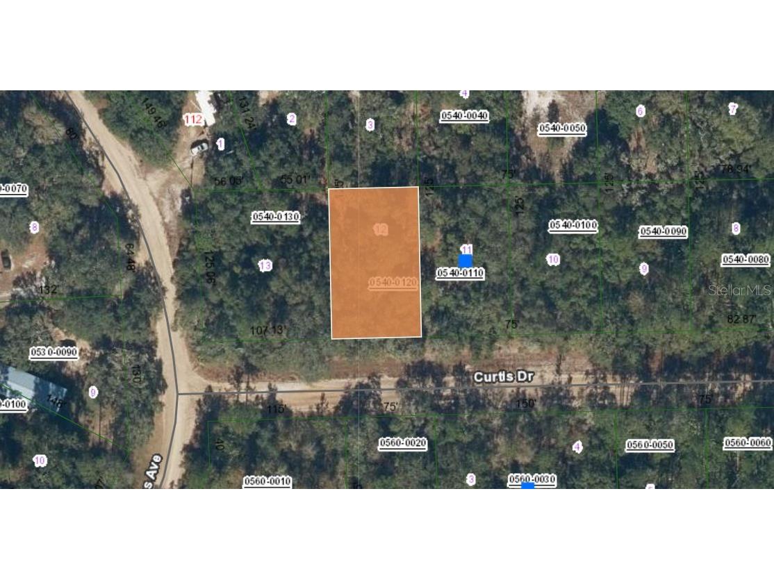 00 Curtis Drive Interlachen FL 32148 OM696769 image1