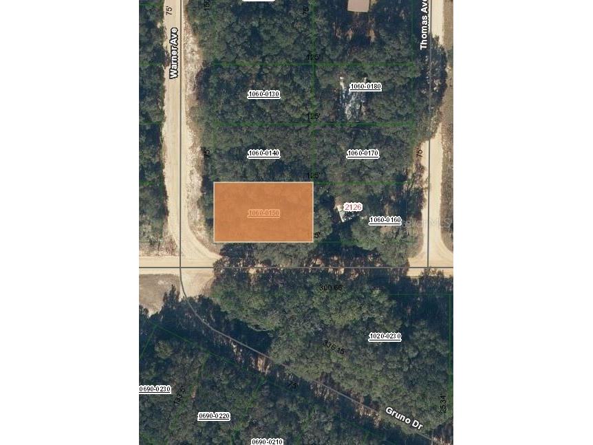 00 Denise Street Interlachen FL 32148 OM696922 image1