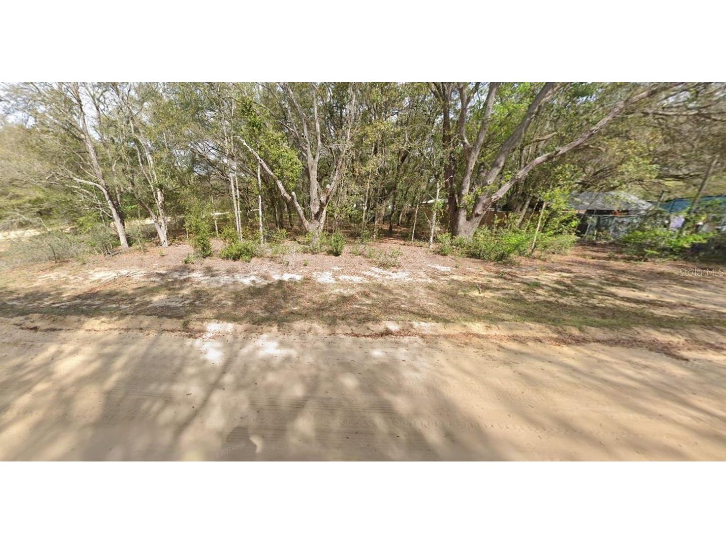 00 Denise Street Interlachen FL 32148 OM696922 image3