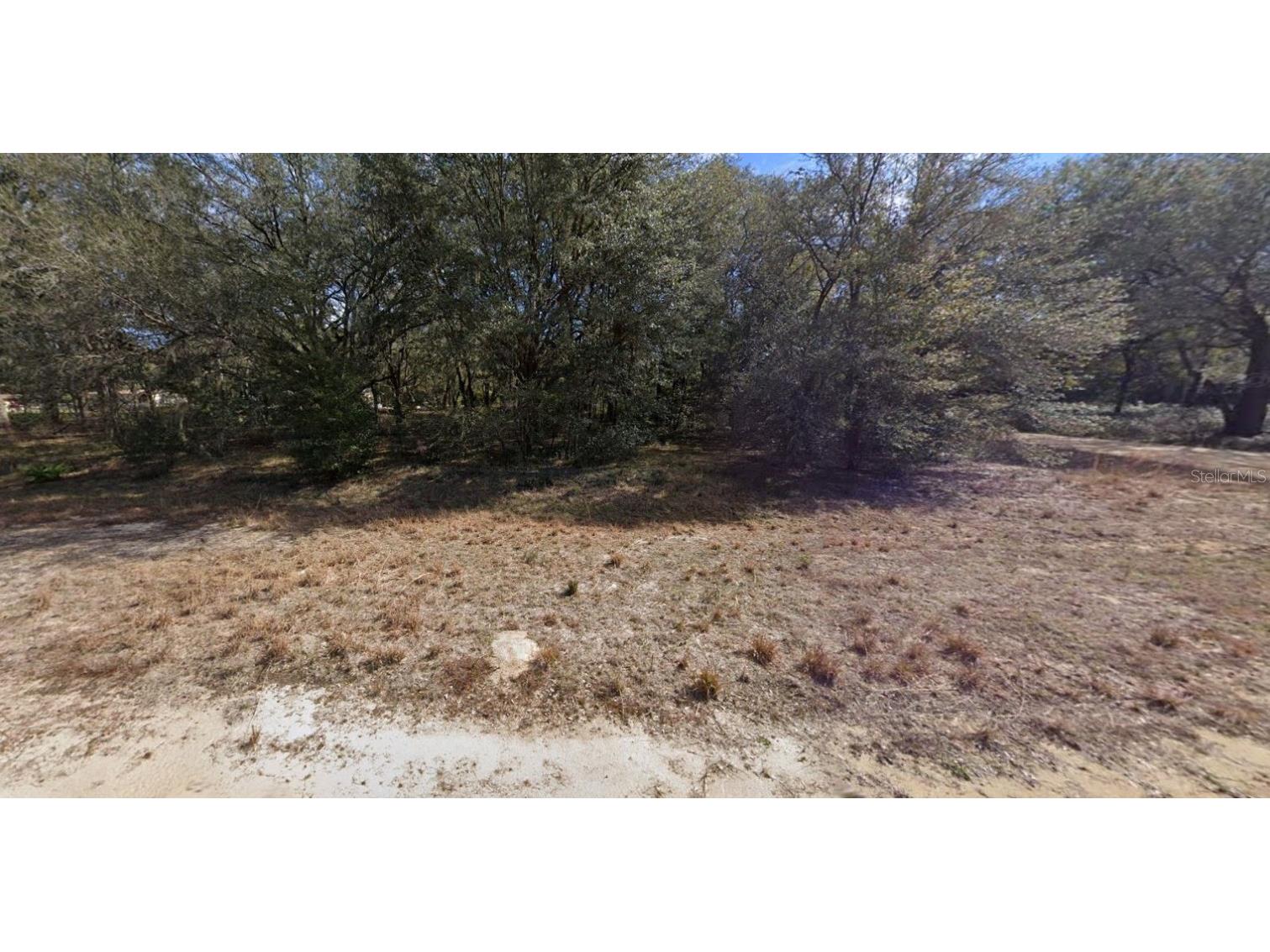 00 Denise Street Interlachen FL 32148 OM696922 image5