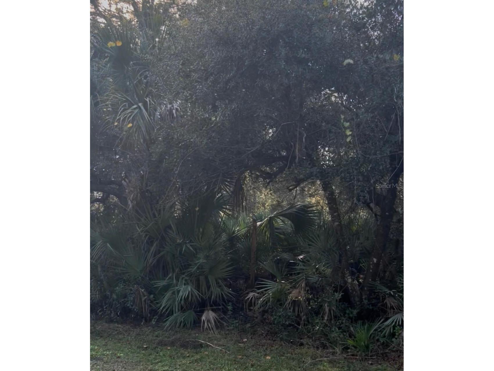 00 Dill Road Orlando FL 32820 O6376312 image1