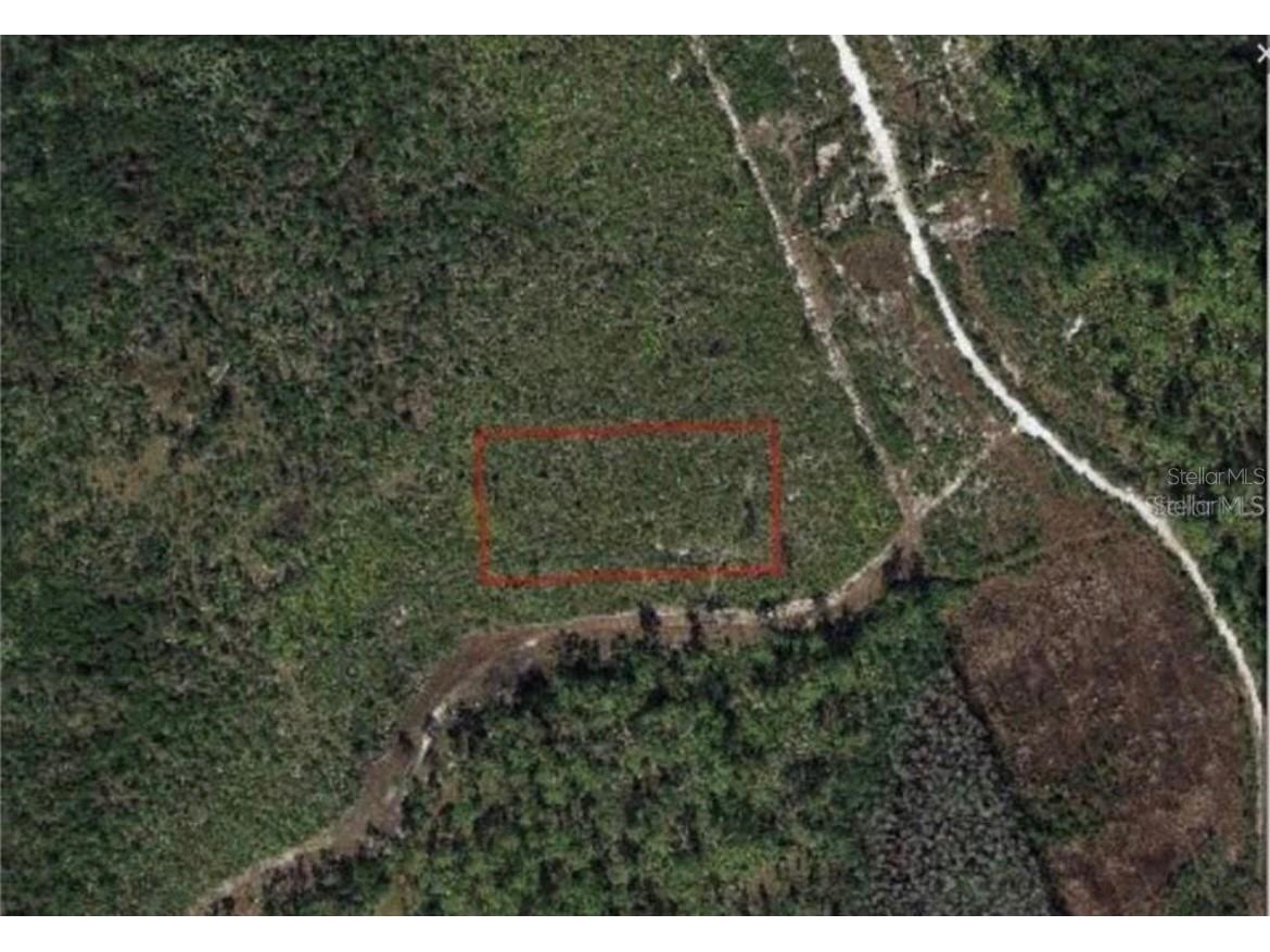 00 Dill Road Orlando FL 32820 O6376312 image2
