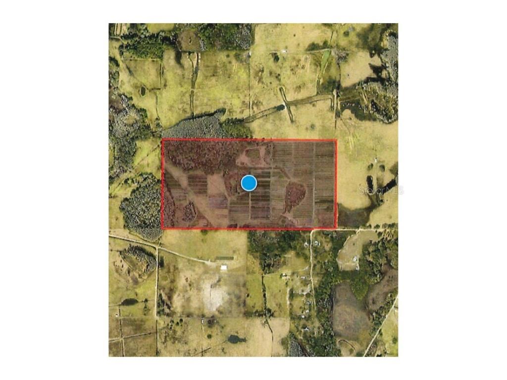 00 Douglas Road Groveland FL 34736 G5103951 image1