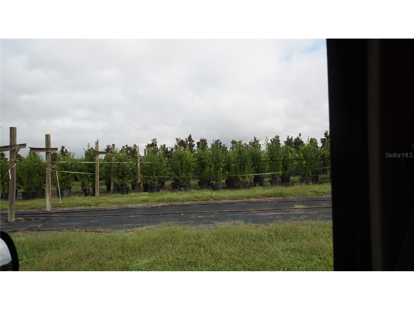 00 Douglas Road Groveland FL 34736 G5103951 image12