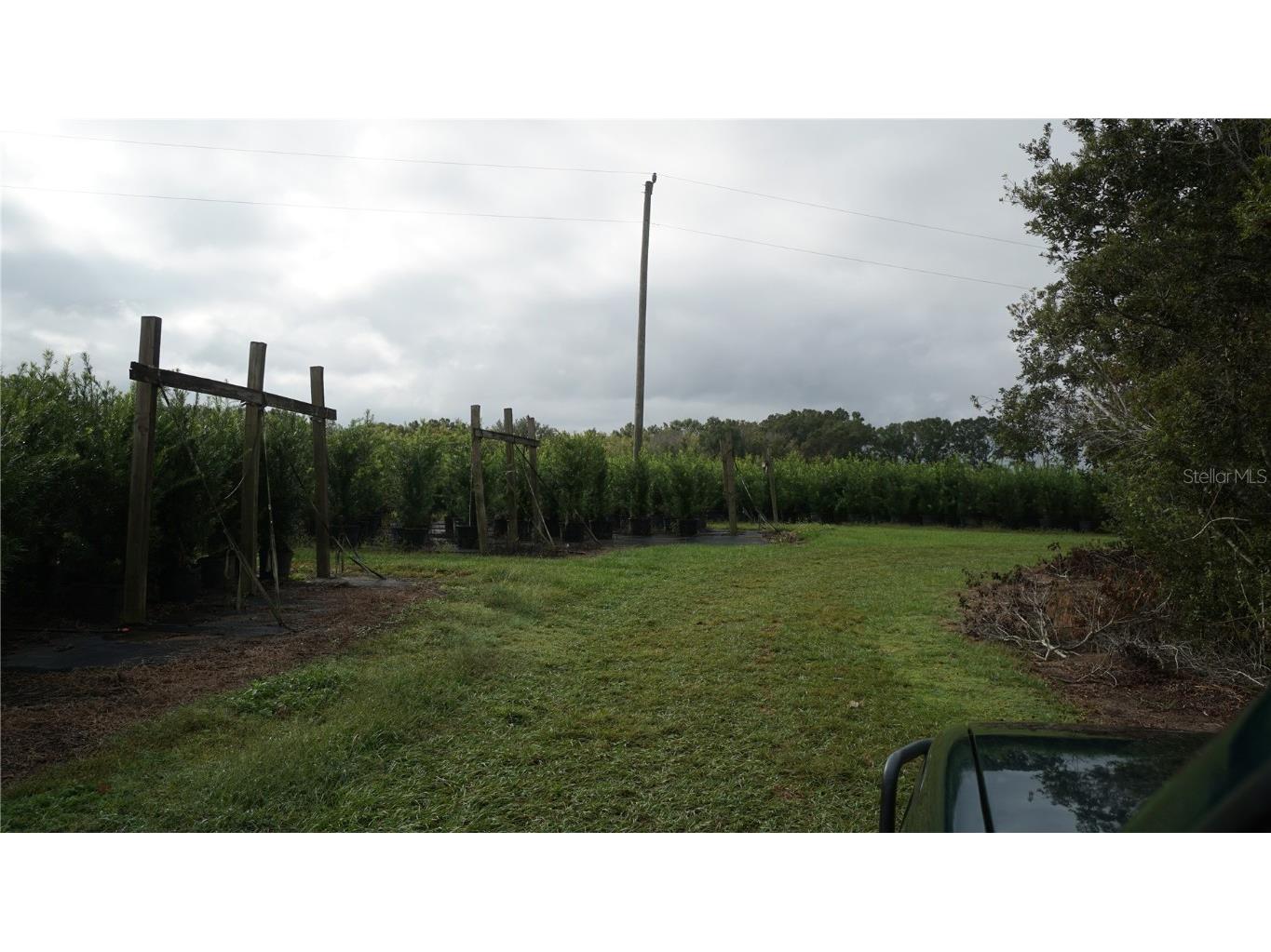 00 Douglas Road Groveland FL 34736 G5103951 image13