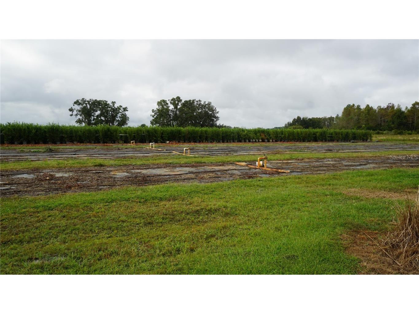 00 Douglas Road Groveland FL 34736 G5103951 image14