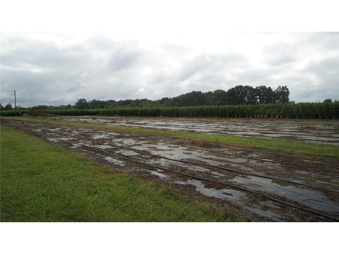 00 Douglas Road Groveland FL 34736 G5103951 image15