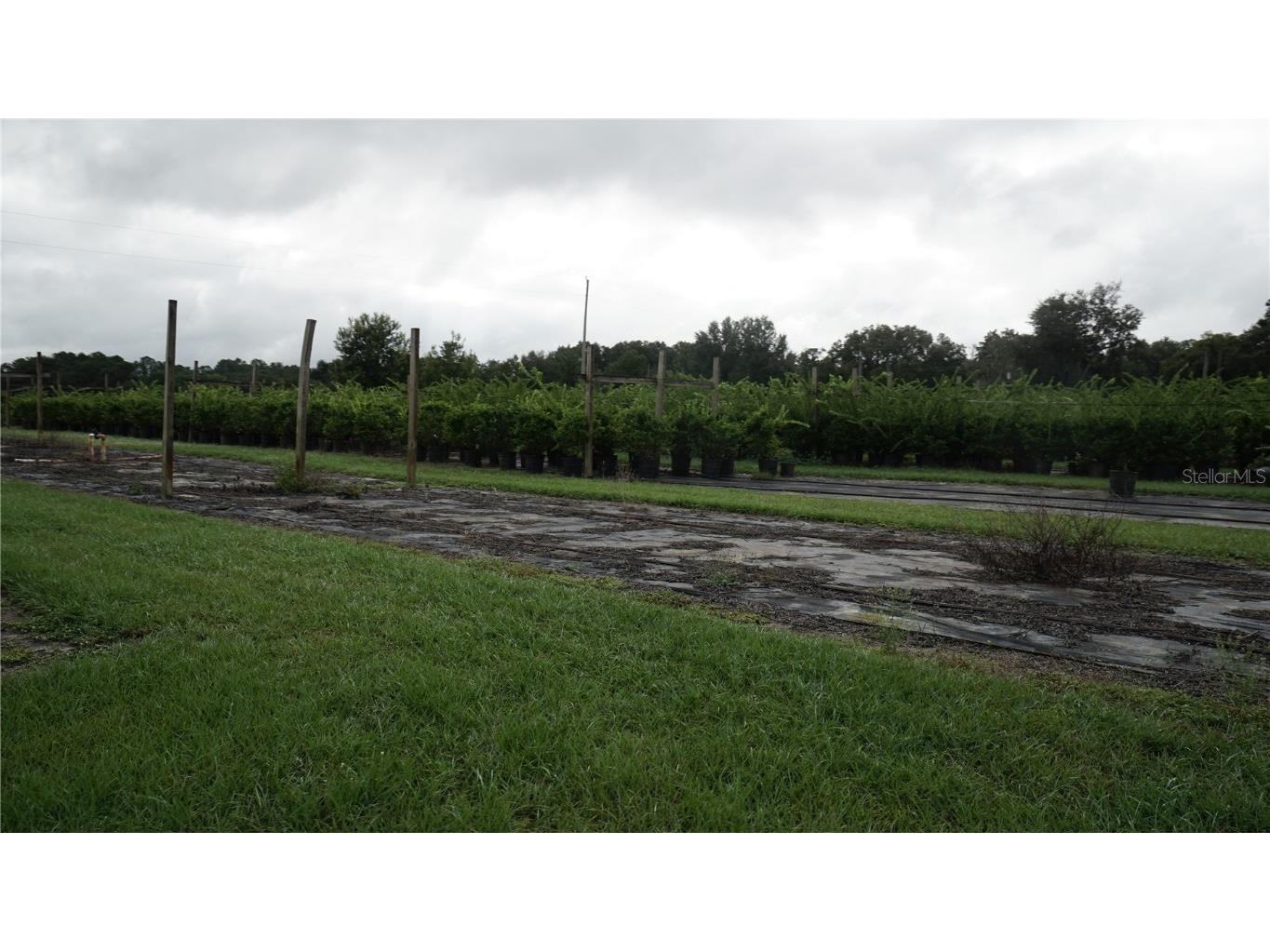 00 Douglas Road Groveland FL 34736 G5103951 image19