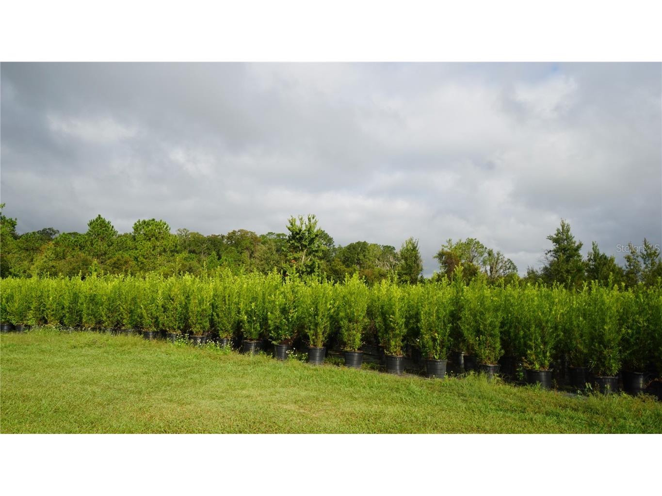 00 Douglas Road Groveland FL 34736 G5103951 image2