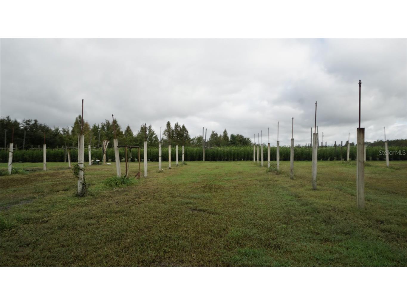 00 Douglas Road Groveland FL 34736 G5103951 image20