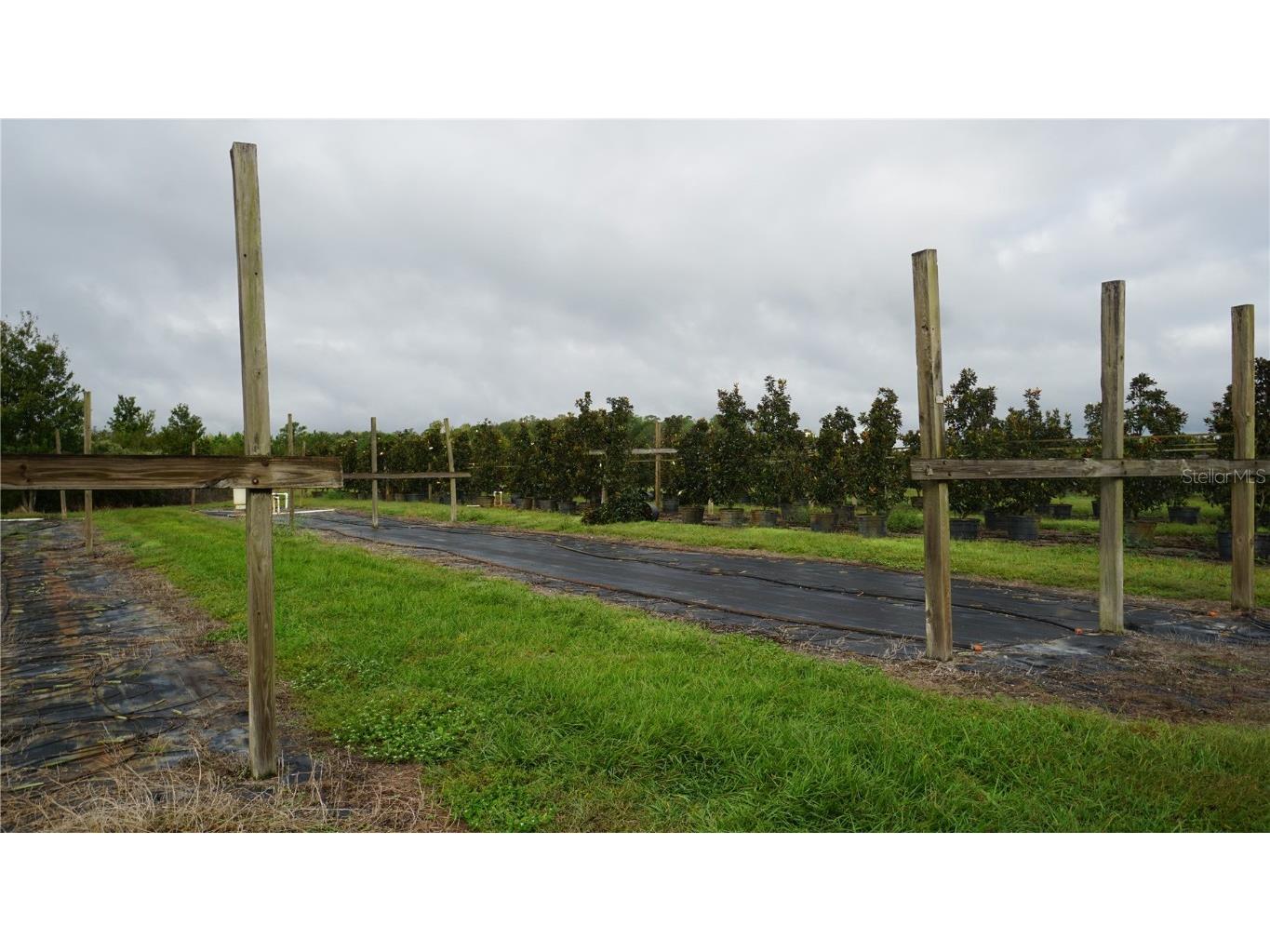 00 Douglas Road Groveland FL 34736 G5103951 image5