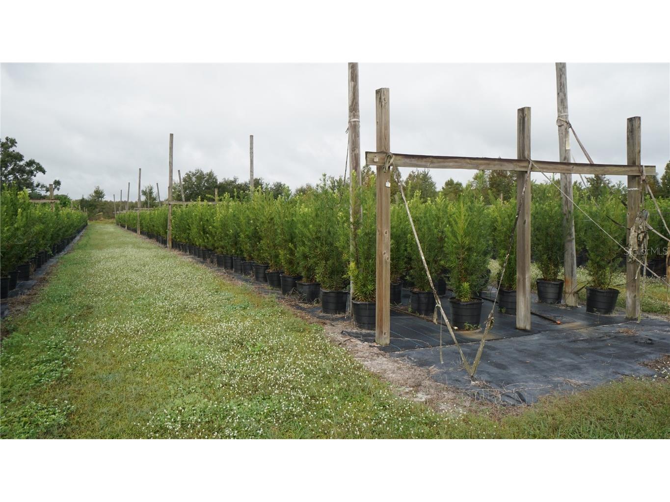 00 Douglas Road Groveland FL 34736 G5103951 image8