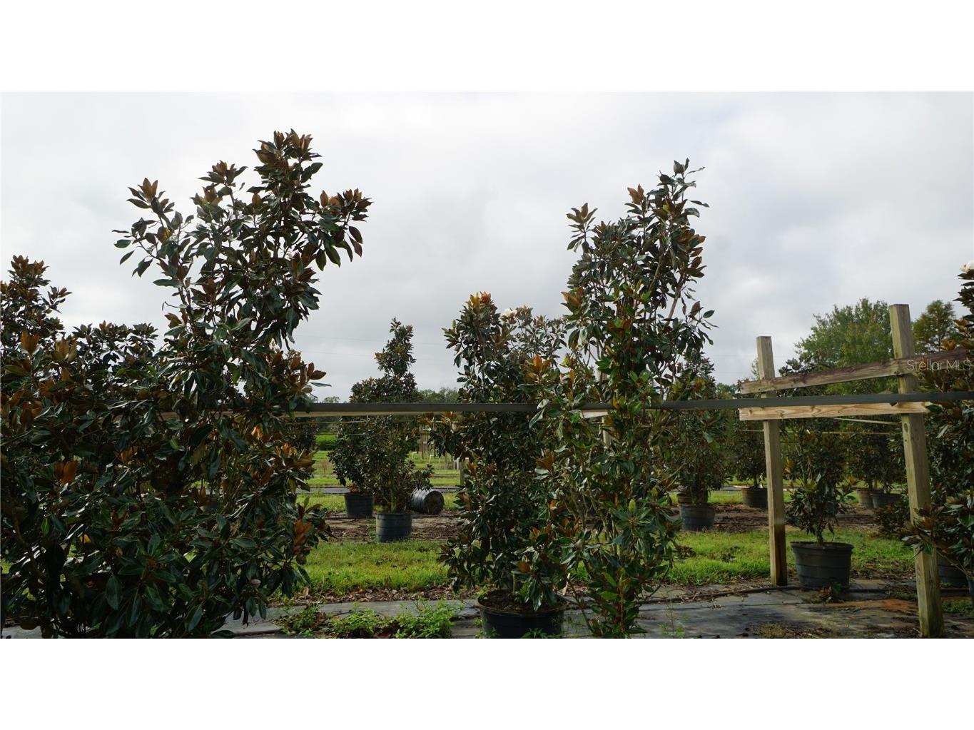 00 Douglas Road Groveland FL 34736 G5103951 image9