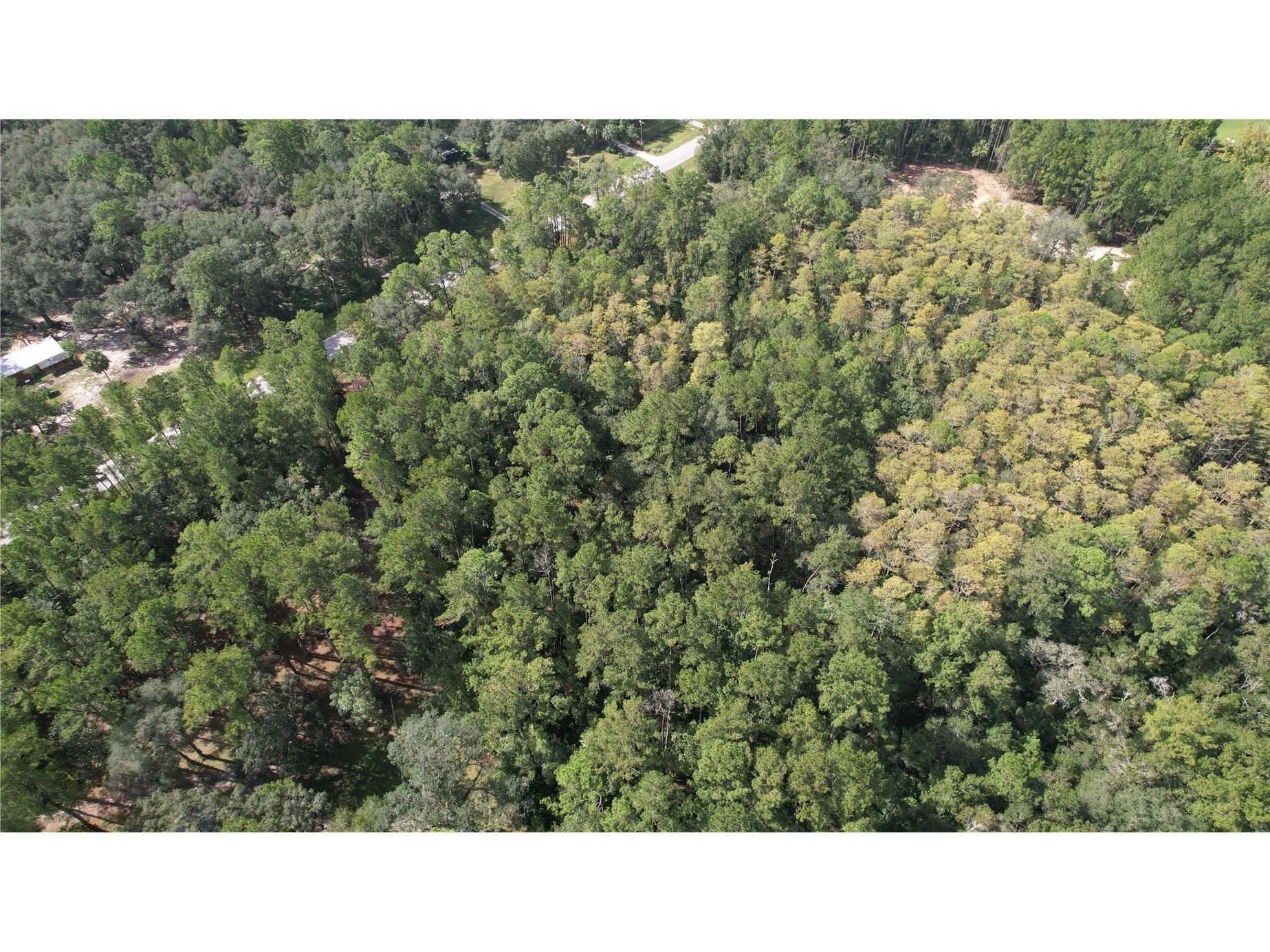 00 E Highway 316 Fort Mc Coy FL 32134 OM710948 image11