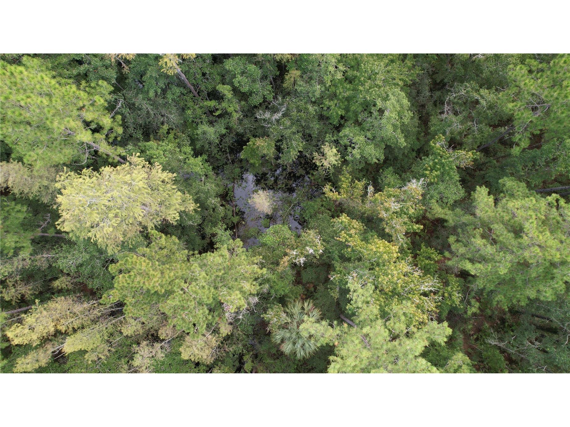 00 E Highway 316 Fort Mc Coy FL 32134 OM710948 image16